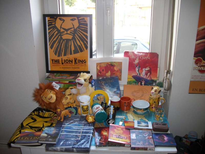 Le Roi Lion - Page 6 100_1515