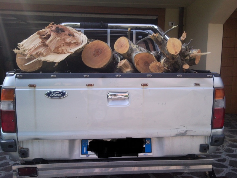 Pick-up per trasporto legna e ramaglie per lavori in tree climbing - Pagina 2 Snc00212