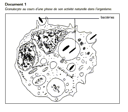 TD n 5 Univ d'Oran, IGMO : La phagocytose Aa12