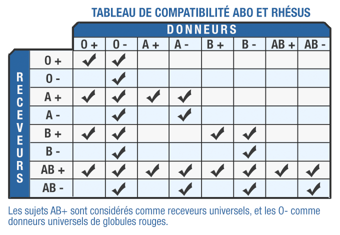 TD et TP n2 d'immuno: systeme ABO rhésus Efs_ta10