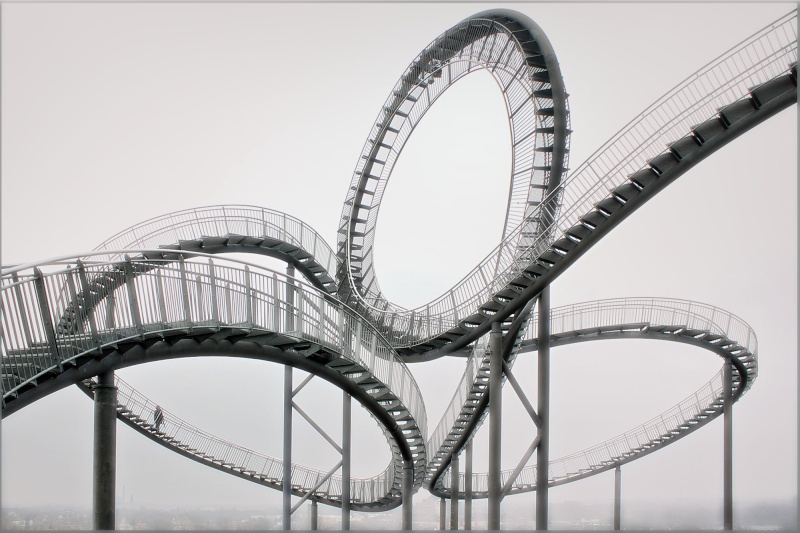 Tiger & Turtle Img_0210