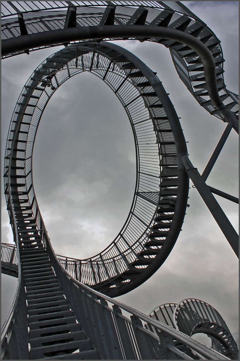 Tiger & Turtle Img_0412