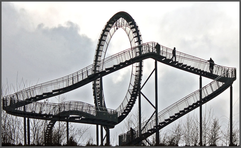 Tiger & Turtle Img_0510