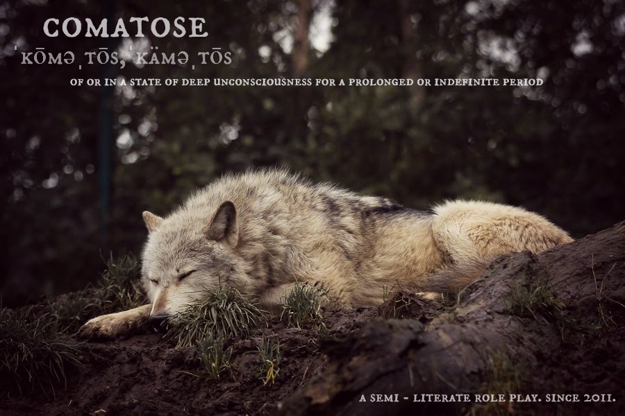 The Comatose Wolves