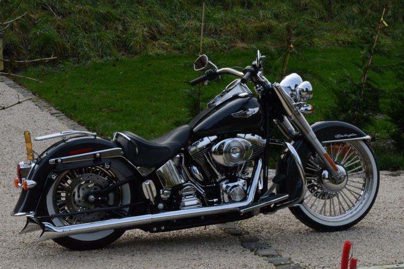 Mon deluxe 2006 Harley15