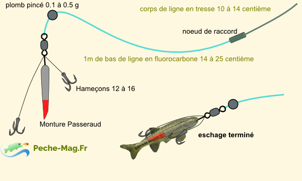 La Truite au vairon mort Montag11