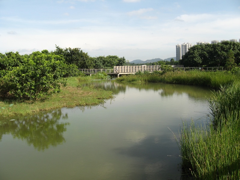 Hong Kong : Wetland Park 08_aou20