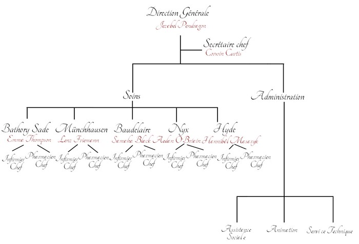 Organisation de l'Hôpital Lomile11