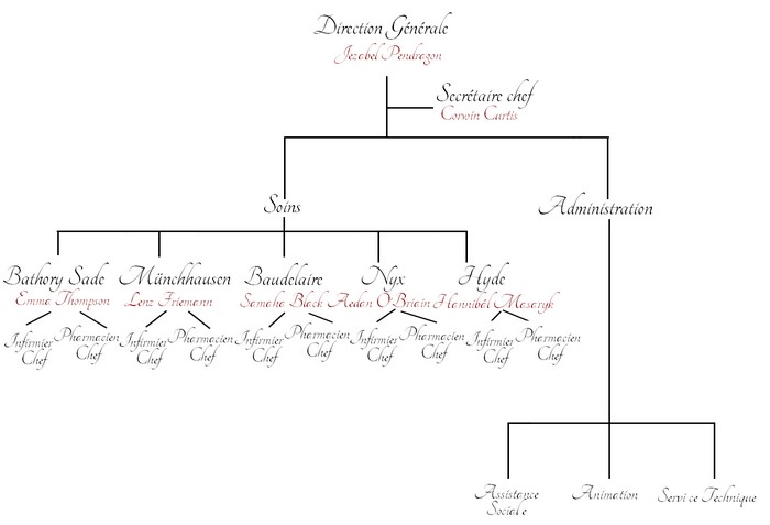 Organisation de l'Hôpital  Lomile11