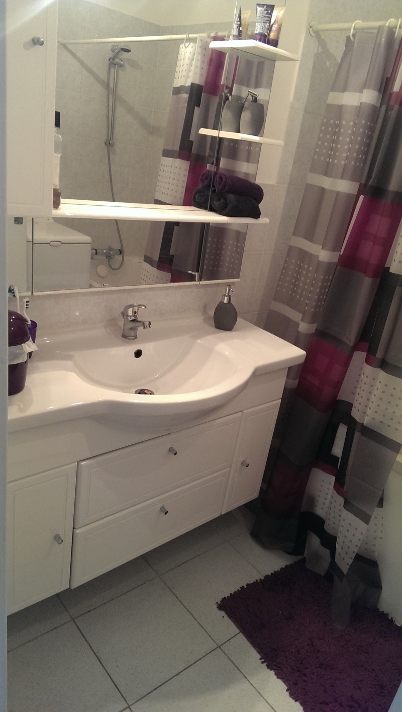 Quelle couleur pour accesoiriser ma Salle de bain blanche et grisâtre  14252113