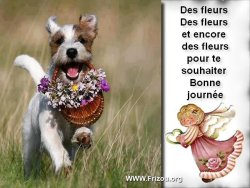 des fleurs Des_fl10