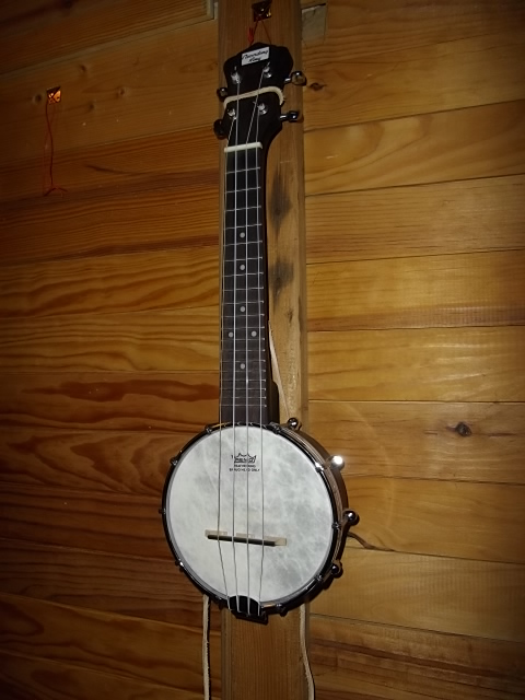 banjolélé banjo 4 cordes - Page 3 Record12