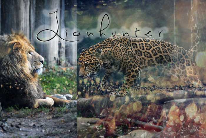 The Lionhunter Verkle13