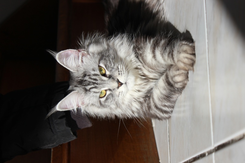 Coucou a tous Img_5010