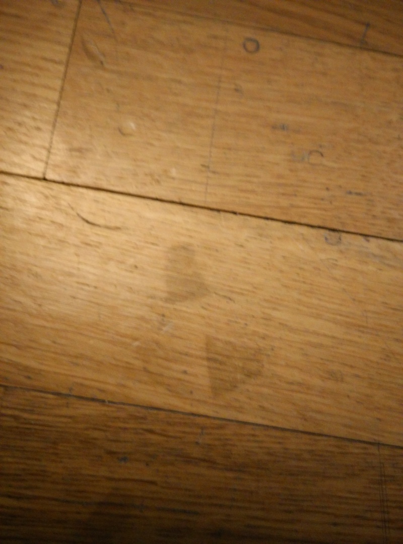 petites taches noires sur le parquet Img_2012