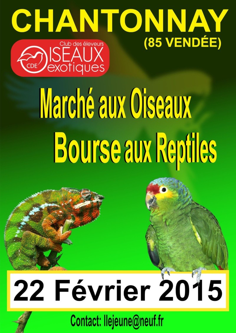 Bourse chantonnay reptiles (85) Affich12