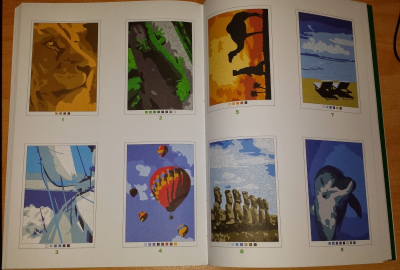 coloriage 100 coloriage mystère de chez Hachette 20150215