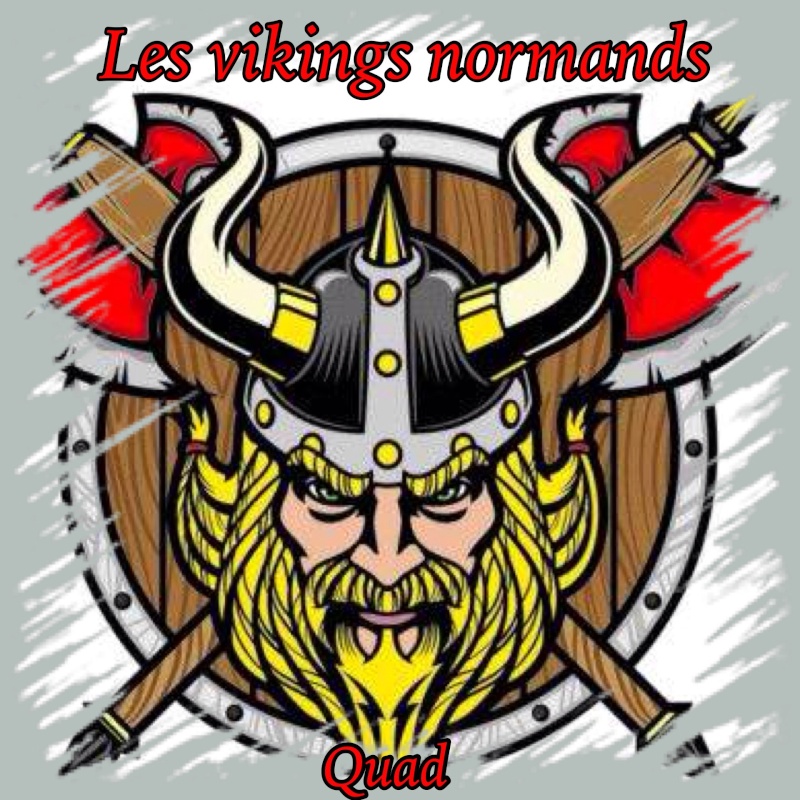 Les vikings normands 