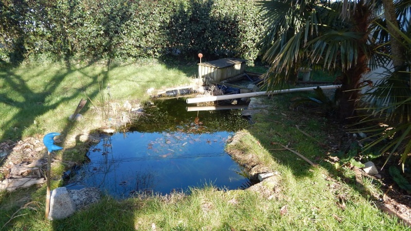 bassin de jardin mars 2015 Dscn2712