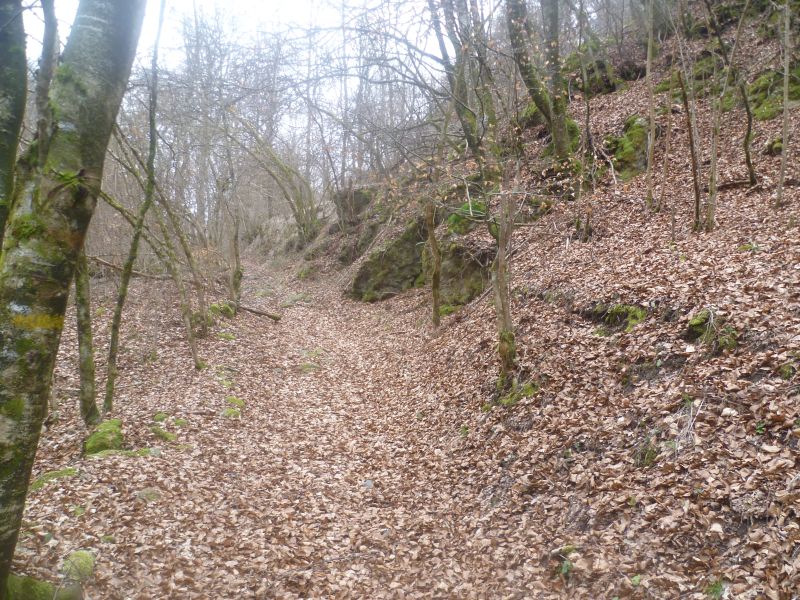 Un biotope d'hispanus en Haute-Loire Biotop10