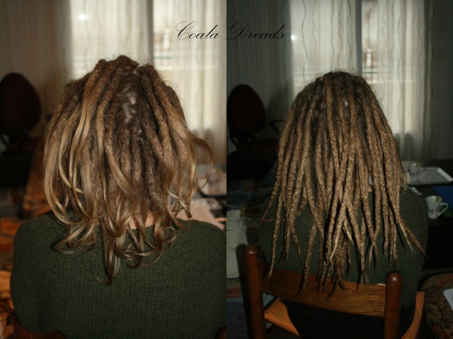 Coala Dreads création ! :D Jjulie10