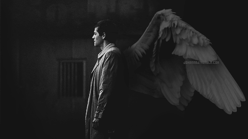 Do Not Be Afraid Of "Angel" ! [Feat Castiel] Tumblr10
