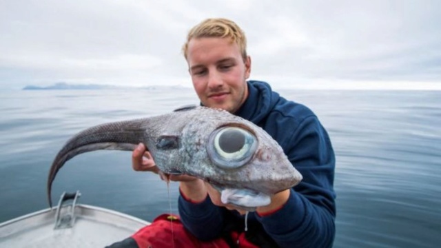 Fisherman gets shock as he reels in 'dinosaur-like' fish with huge eyes 1dd2d010