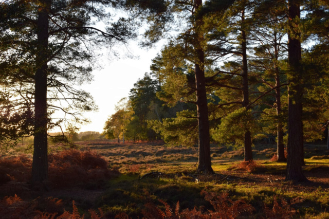 Photo competition captures beauty of UK national parks 769c1a10