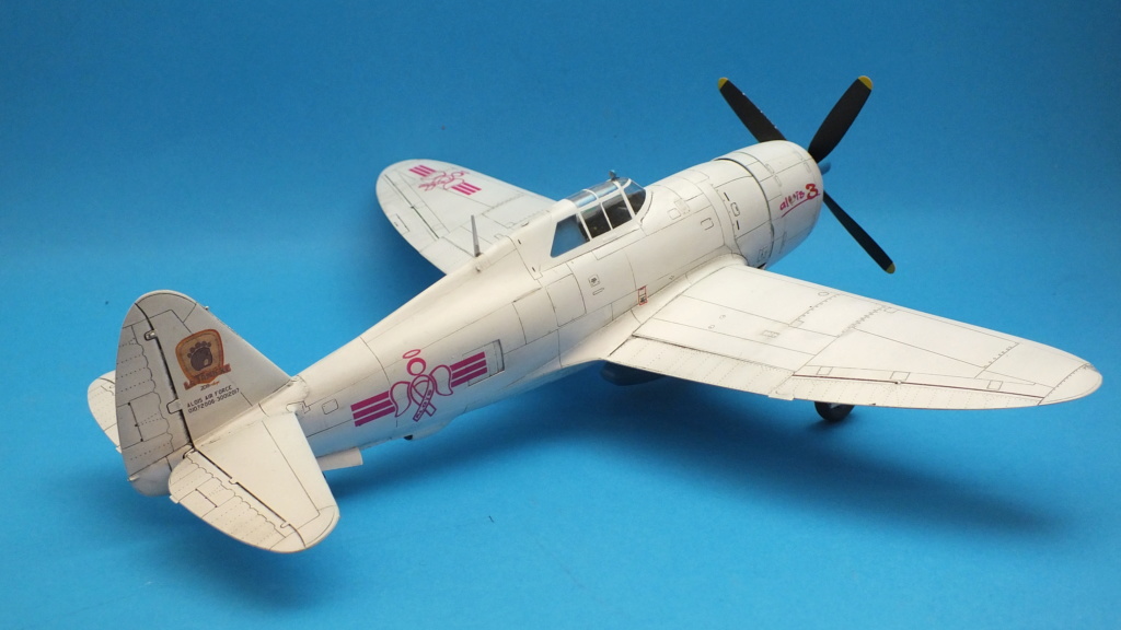[TAMIYA] REPUBLIC P-47D THUNDERBOLT 3ème "anniverciel" Réf 61086 Dscf4911
