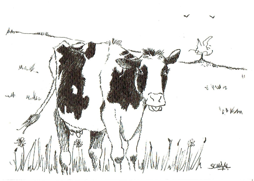 (acrylique) Vive les vacances en bretagnes Vache_10