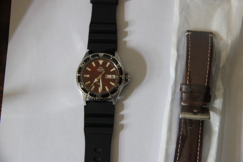  [Vends] Orient Mako Kamasu rouge+2 bracelets Img_0512