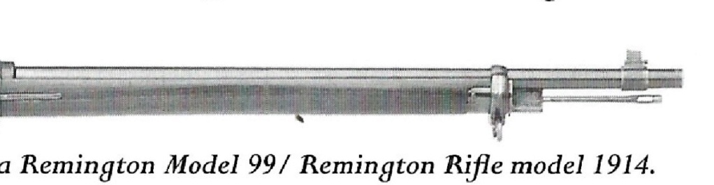 Fusil REMINGTON de 8m/m ou Rolling Block modèle 1914 - Page 3 Extait10
