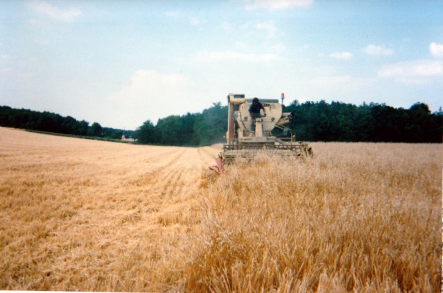 * "Les Tracteurs anciens (agricole)" Img_5811