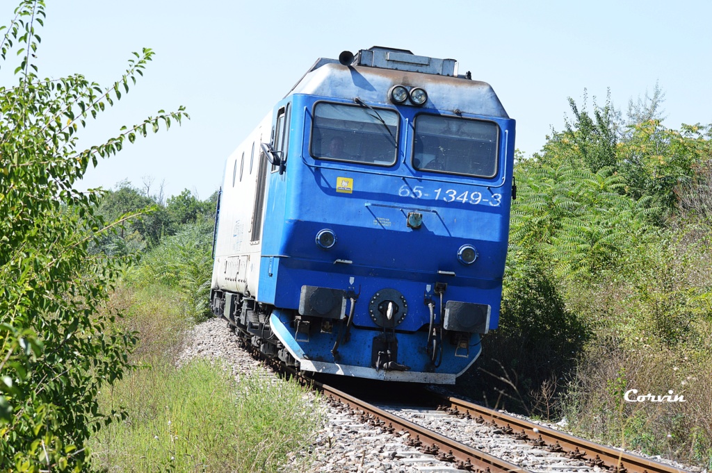 Locomotive din clasa 64 si 66 - Pagina 21 Dsc_0114