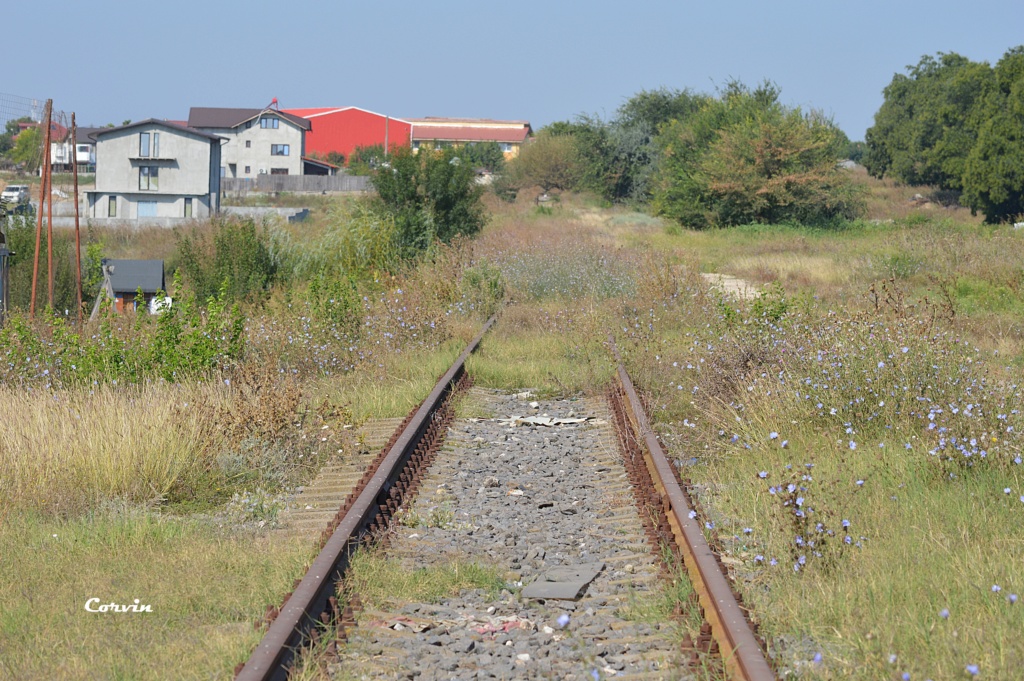 800A : Eforie Nord - Techirghiol - Pagina 4 Dsc_0129