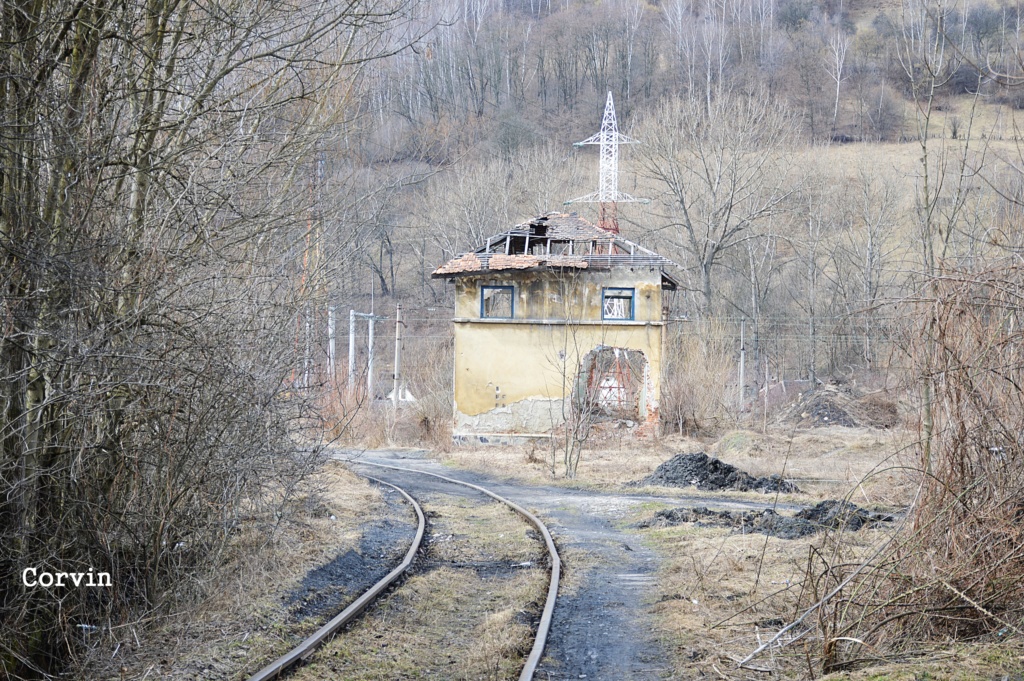 Ramificația Petroșani Triaj-E.M. Petrila Dsc_0237