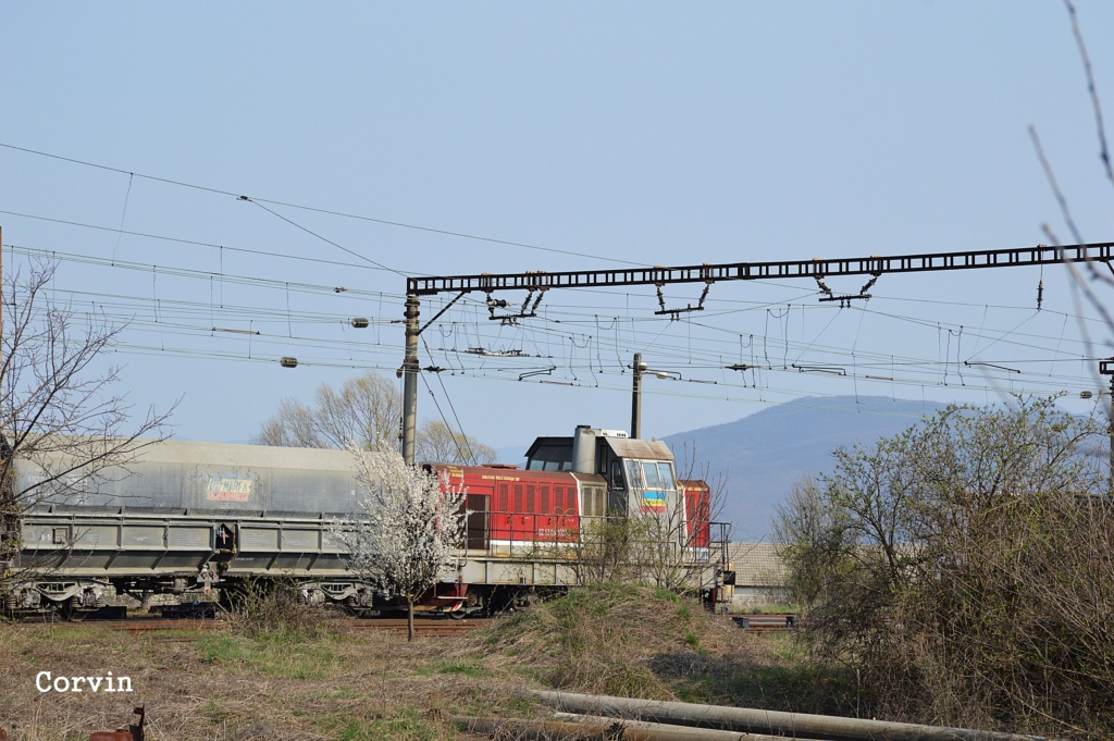 Locomotive clasa 84 - Pagina 10 Dsc_0336