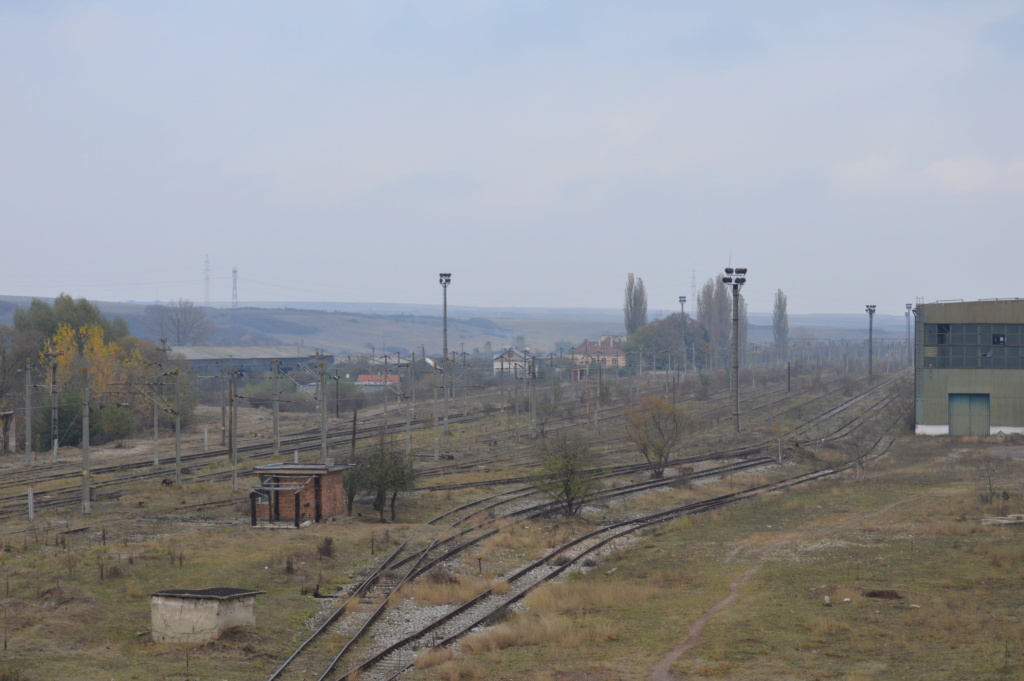 Zona stației Peștiș Marfă-Hunedoara Dsc_0720