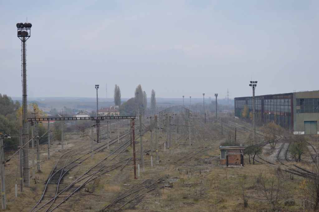 Zona stației Peștiș Marfă-Hunedoara Dsc_0721