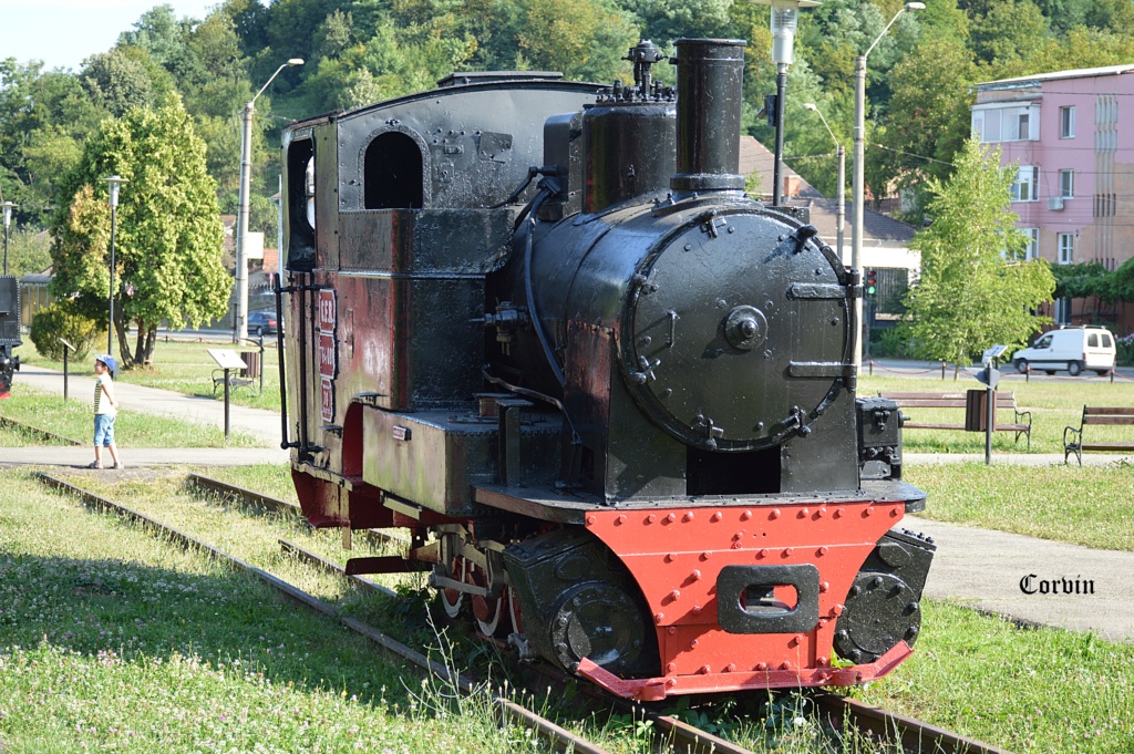 Locomotive cu abur - Pagina 33 Dsc_0738