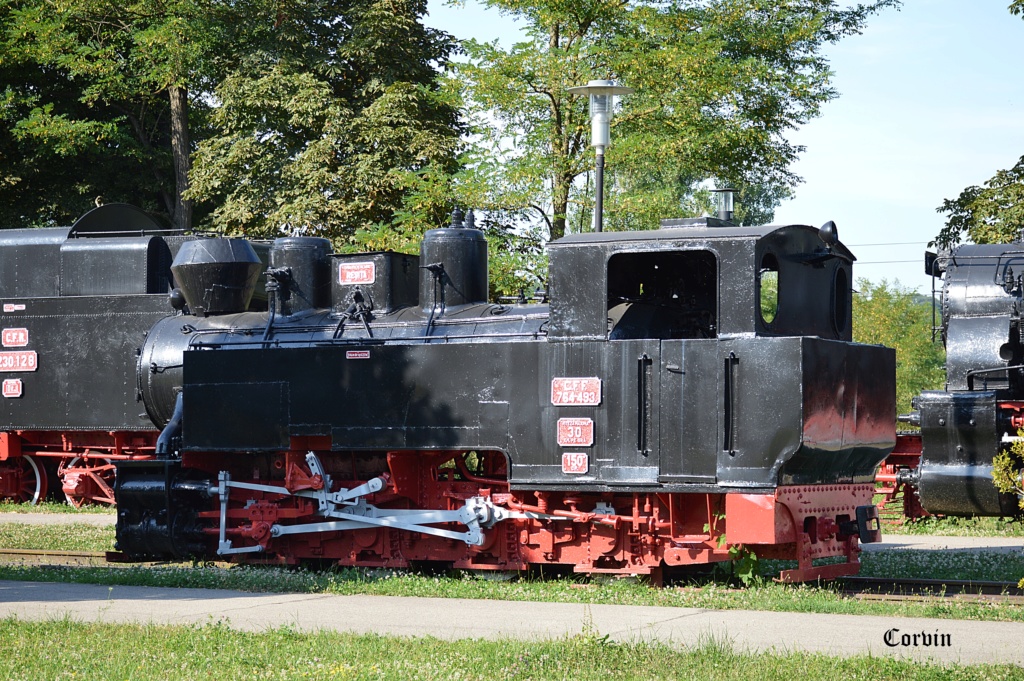 Locomotive cu abur - Pagina 33 Dsc_0745