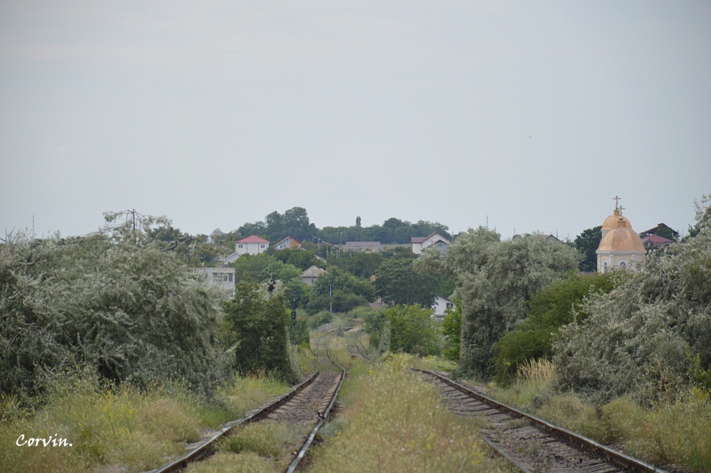 Cai ferate de ecartament normal pe care nu circula trenuri de calatori Dsc_1100