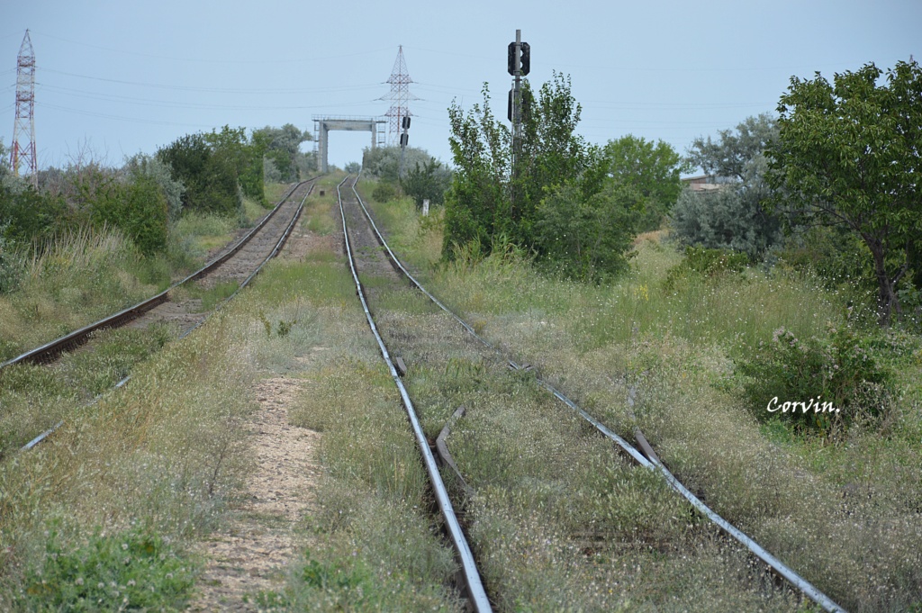 Cai ferate de ecartament normal pe care nu circula trenuri de calatori Dsc_1109