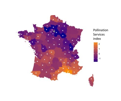 Effondrement des populations d'insectes Sans_t10