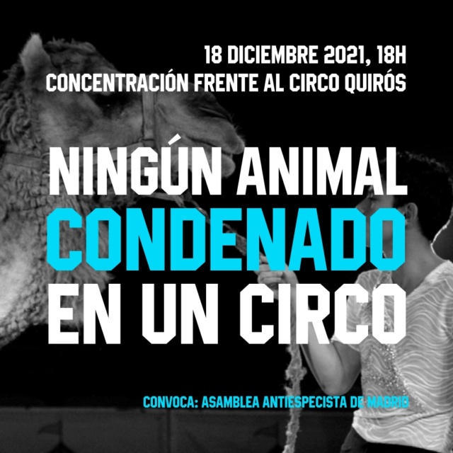 Convocatoria contra el circo en Madrid 18dic210
