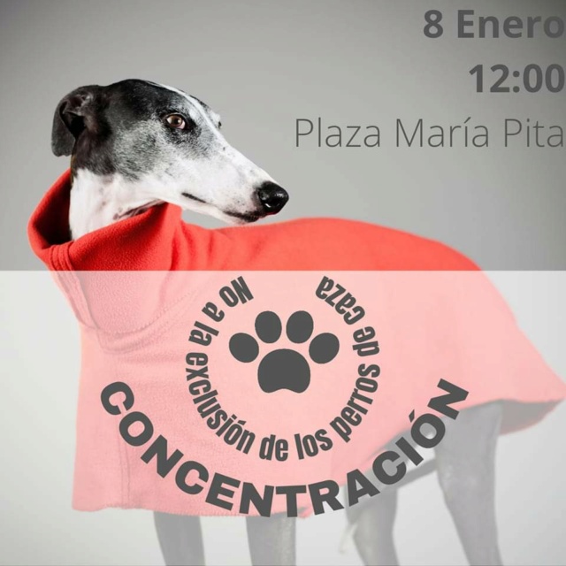 Concentración 8 enero 2023 plaza María Pita Coruña  32210510