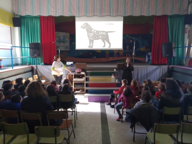 Charla en el CEIP Pedro Barrié de la Maza en Sada 19/02/2019 Img_2076