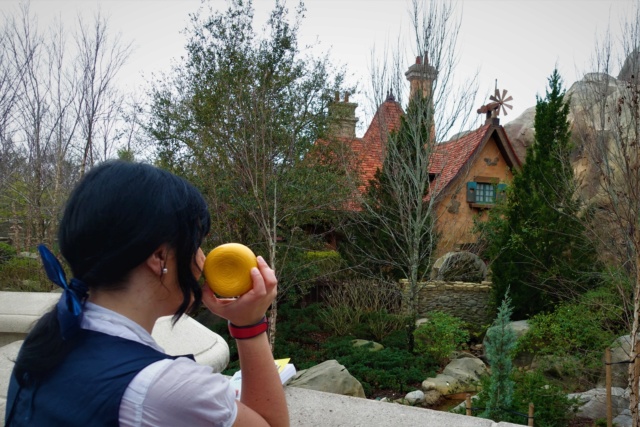 ºOº DIA 13 ~ DISNEYBOUNDEAMOS EN MK Y DHS/ MARDI GRAS EN PORT ORLEANS FRENCH Q. - GUIA CULINARIA DE WALT DISNEY WORLD Y UNIVERSAL ORLANDO (17)