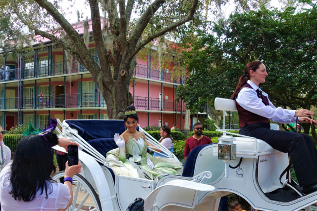 ºOº DIA 13 ~ DISNEYBOUNDEAMOS EN MK Y DHS/ MARDI GRAS EN PORT ORLEANS FRENCH Q. - GUIA CULINARIA DE WALT DISNEY WORLD Y UNIVERSAL ORLANDO (59)