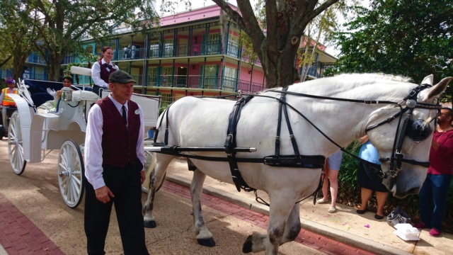 ºOº DIA 13 ~ DISNEYBOUNDEAMOS EN MK Y DHS/ MARDI GRAS EN PORT ORLEANS FRENCH Q. - GUIA CULINARIA DE WALT DISNEY WORLD Y UNIVERSAL ORLANDO (57)